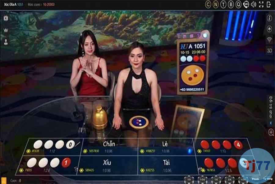 Khám phá thế giới giải trí đỉnh cao cùng casino oyunları hấp dẫn