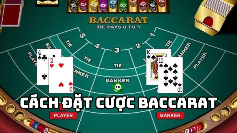 Khám phá thế giới xnxx viet nam hoc sinh với những nội dung mới lạ dành cho người lớn
