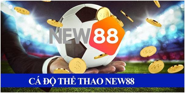 Bí quyết cách chơi tấn hiệu quả giúp bạn thắng lớn khi chơi cách chơi tấn